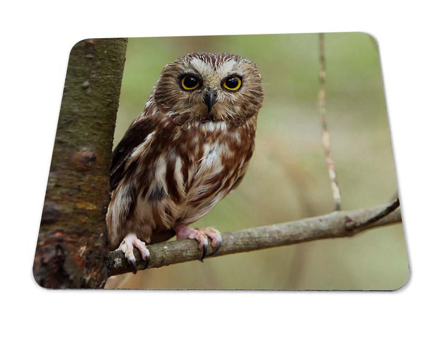 PVC mouse pad, DIY mouse pad printing, owl pattern mouse pad,kal mouse pad factory